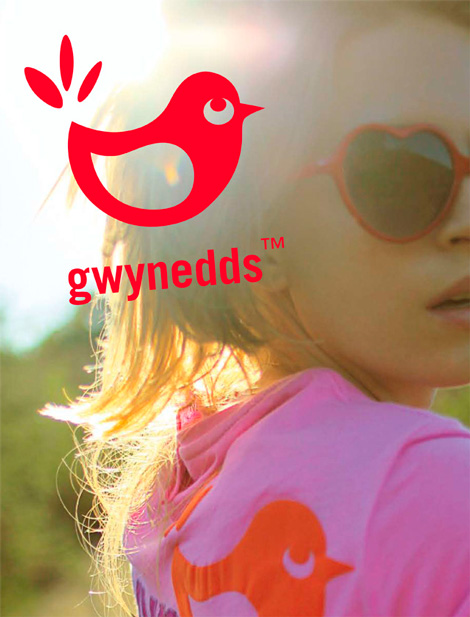 GWYNEDDS